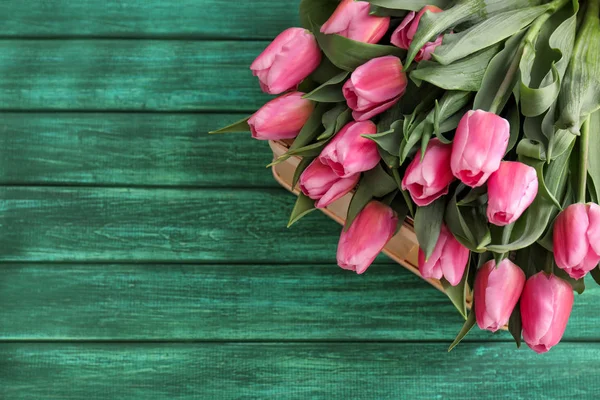 Beautiful tulips on color wooden background