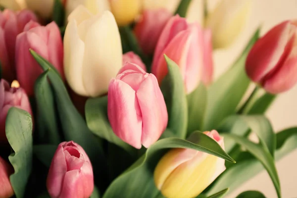 Beautiful Bouquet Tulips Closeup — Stock Photo, Image
