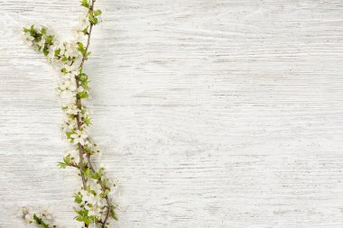 Beyaz ahşap zemin üzerinde güzel çiçek şube