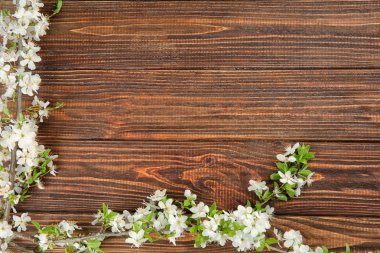 Ahşap arka planda çiçek açan güzel dallar.