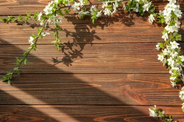 Ahşap arka planda çiçek açan güzel dallar.