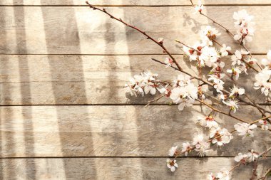 Ahşap arka planda çiçek açan güzel dallar.