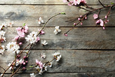 Ahşap arka planda çiçek açan güzel dallar.