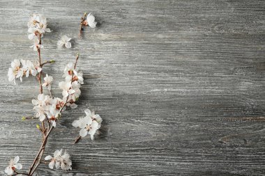 Ahşap arka planda çiçek açan güzel dallar.