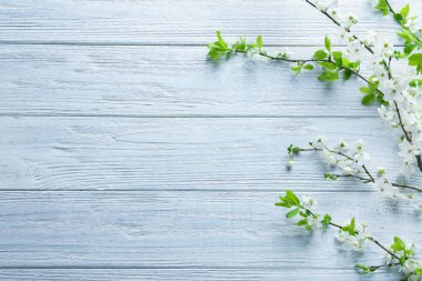 Ahşap arka planda çiçek açan güzel dallar.