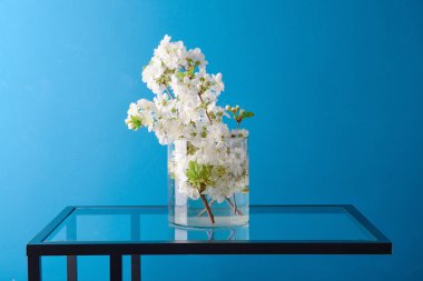 Cam masa renk arka plan üzerinde çiçek dalları ile vazo