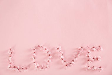 Çiçek açması bahar çiçekleri renk arka plan üzerinde kelime aşk yapılmış