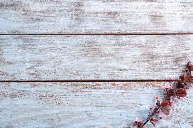 Ahşap arka plan üzerinde güzel çiçek şube