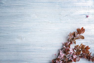 Ahşap arka plan üzerinde güzel çiçek şube