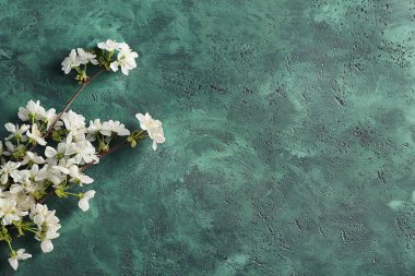 Dokulu renkli arka plan üzerinde güzel çiçek şube