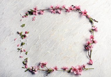 Güzel çiçek dalları ve yaprakları üzerinde açık renkli çerçeve yaptı