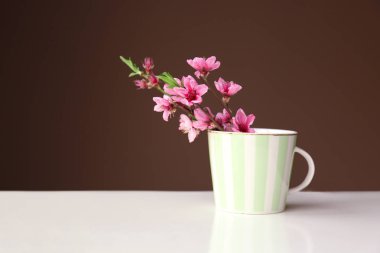 Koyu arka plan karşı masada güzel çiçek dalları ile Kupası