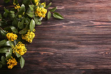 Ahşap arka planda çiçek açan güzel dallar.