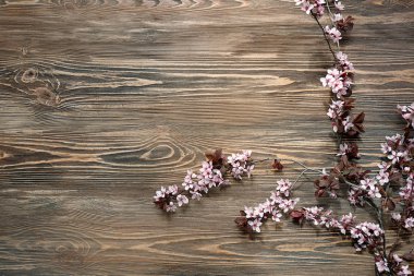 Ahşap arka planda çiçek açan güzel dallar.