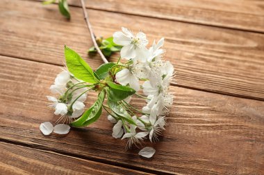 Ahşap arka plan üzerinde güzel çiçek şube