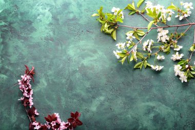 Dokulu renkli arka plan üzerinde güzel çiçek dalları