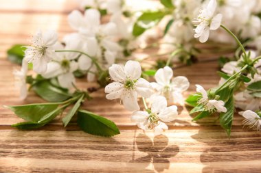 Ahşap arka planda çiçek açan güzel dallar.