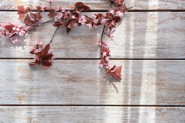 Ahşap arka planda çiçek açan güzel dallar.