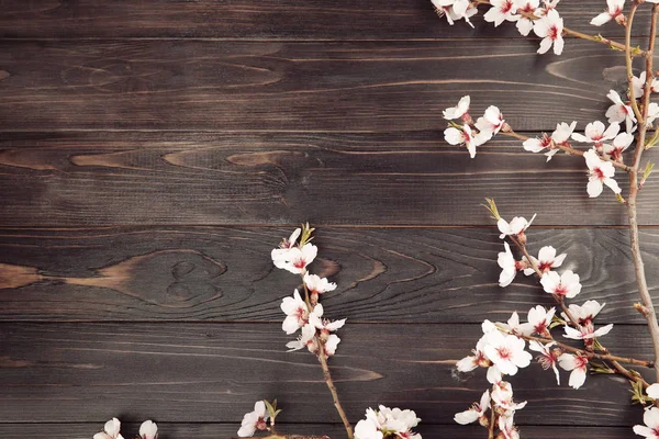 Beautiful Blossoming Branches Wooden Background — Stock Photo, Image