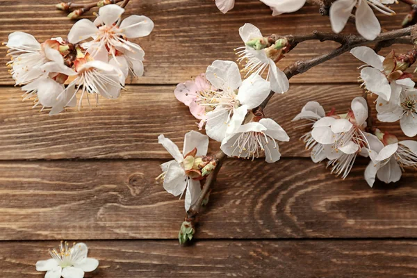 Beautiful Blossoming Branches Wooden Background — Stock Photo, Image