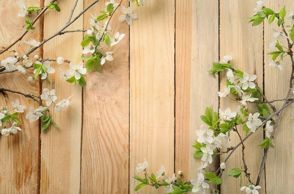Piękne Kwitnące Gałęzie Drewnianym Tle — Zdjęcie stockowe