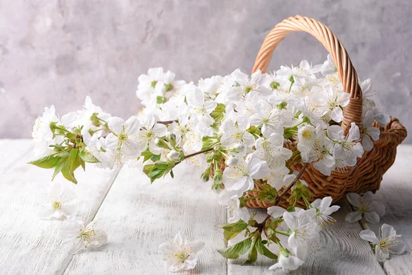 Wicker Basket Blossoming Branches Wooden Table — Stock Photo, Image