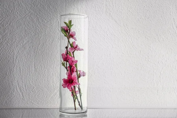 Vase Beautiful Blossoming Branches Table — Stock Photo, Image