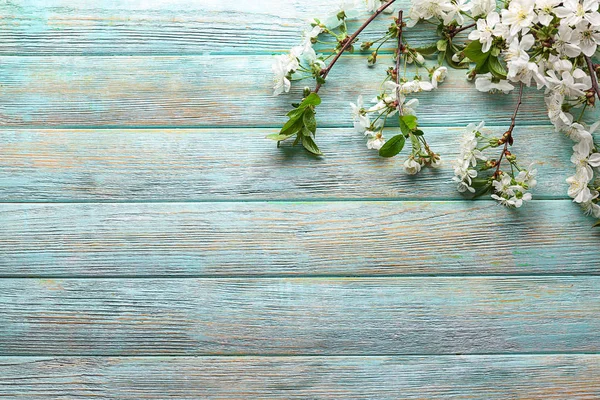 Beautiful Blossoming Branches Color Wooden Background — Stock Photo, Image