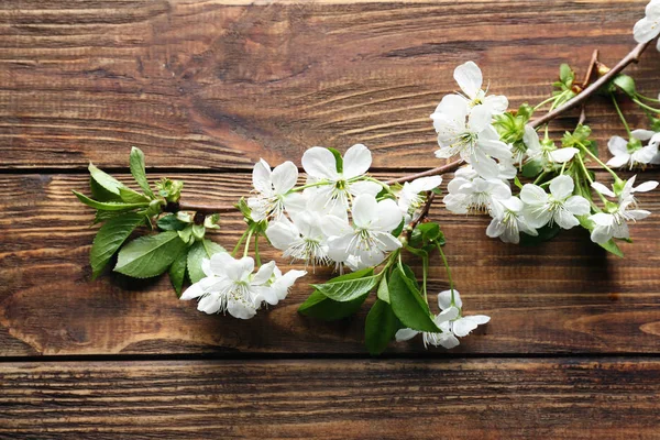 Beautiful Blossoming Branch Wooden Background — Stock Photo, Image