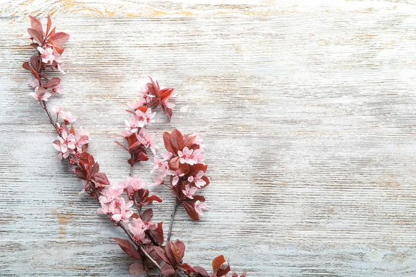 Beautiful Blossoming Branches Wooden Background — Stock Photo, Image