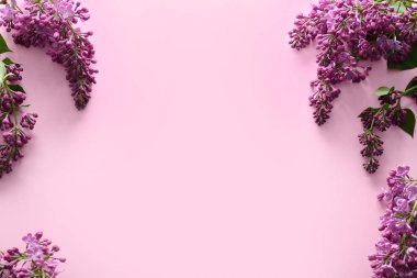 Güzel çiçek açması leylak renkli arka plan üzerinde