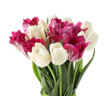 Beyaz arka plan üzerinde güzel Lale buketi