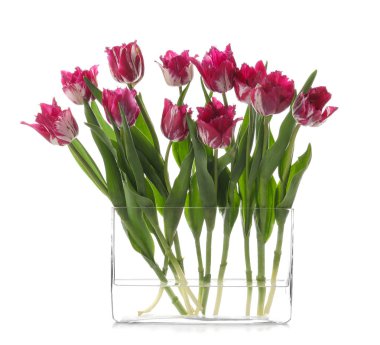 Beyaz arka plan üzerinde güzel lale vazo