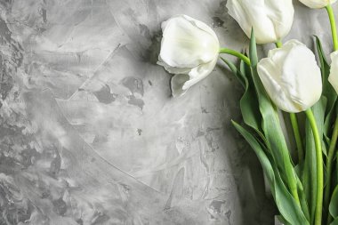 Gri arka plan üzerinde güzel lale