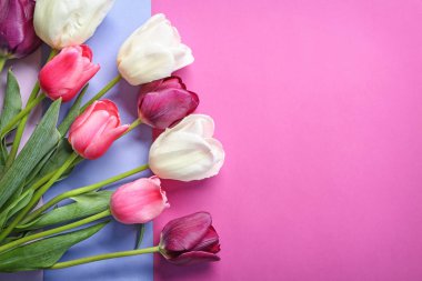 renkli arka plan üzerinde güzel laleler