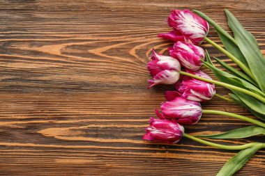 Ahşap arka planda güzel laleler
