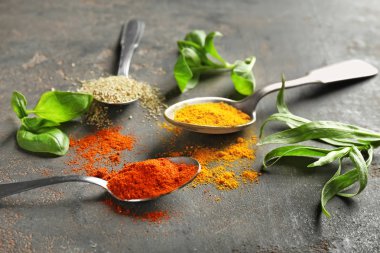 Metal kaşık ile baharat ve otlar gri arka plan üzerinde