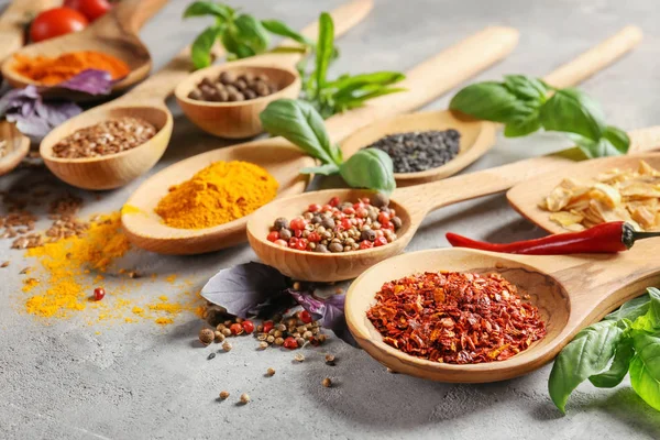 Variety Spices Spoons Grey Background — Stock Photo, Image