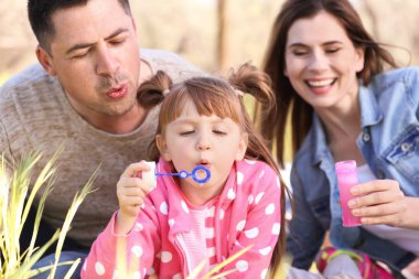 Mutlu aile parkında sabun köpüğü üfleme