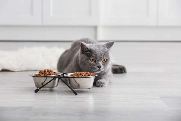 Adorable Gato Cerca Cuencos Con Comida Casa — Foto de Stock