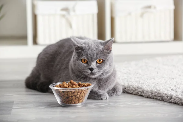 Adorable Cat Bowl Food Home — Stock Photo, Image