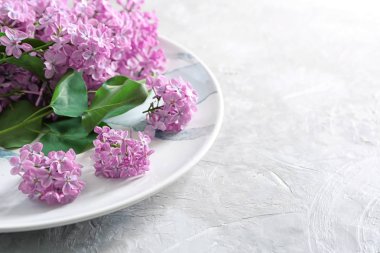 Plakalı gri arka plan üzerinde güzel çiçek açması leylak