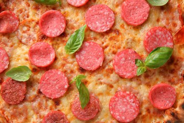 Lezzetli pizza salam, closeup ile