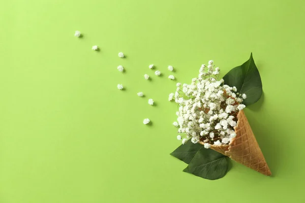 Cono Gofre Con Hermosas Flores Sobre Fondo Color — Foto de Stock