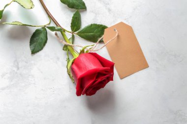 Beyaz arka plan üzerinde etiketi ile güzel gül