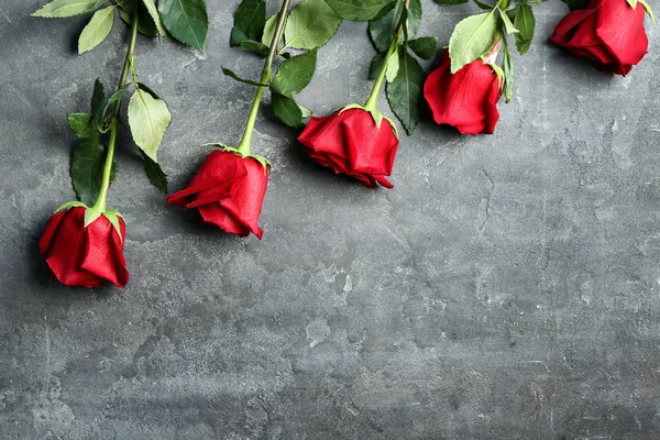 Belles Roses Rouges Sur Fond Texturé Gris — Photo