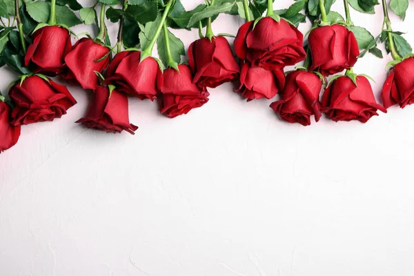 Beautiful Red Roses Light Background — Stock Photo, Image