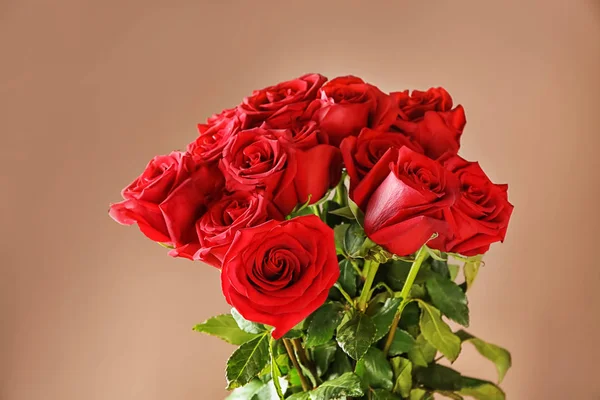 Belles Roses Rouges Sur Fond Couleur — Photo