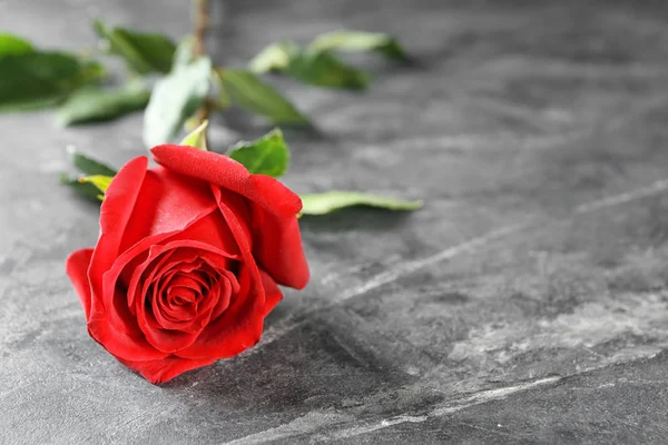 Beautiful Red Rose Table — Stock Photo, Image