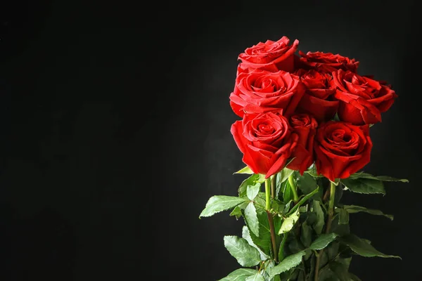 Beautiful Red Roses Dark Background — Stock Photo, Image